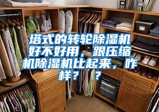 塔式的轉輪除濕機好不好用，跟壓縮機除濕機比起來，咋樣？ ？