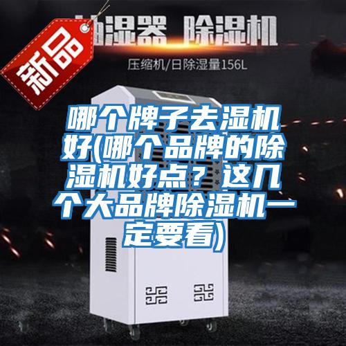 哪個(gè)牌子去濕機(jī)好(哪個(gè)品牌的除濕機(jī)好點(diǎn)?這幾個(gè)大品牌除濕機(jī)一定要看)