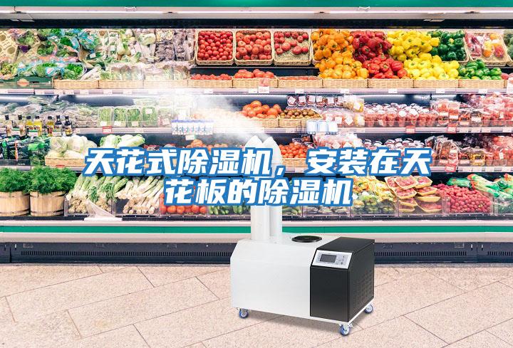 天花式除濕機，安裝在天花板的除濕機