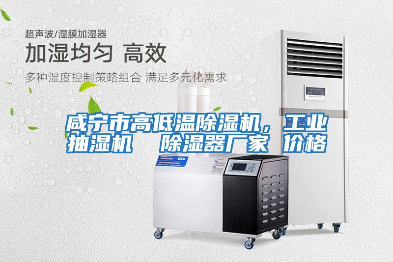 咸寧市高低溫除濕機(jī),工業(yè)抽濕機(jī) 除濕器廠家 價(jià)格