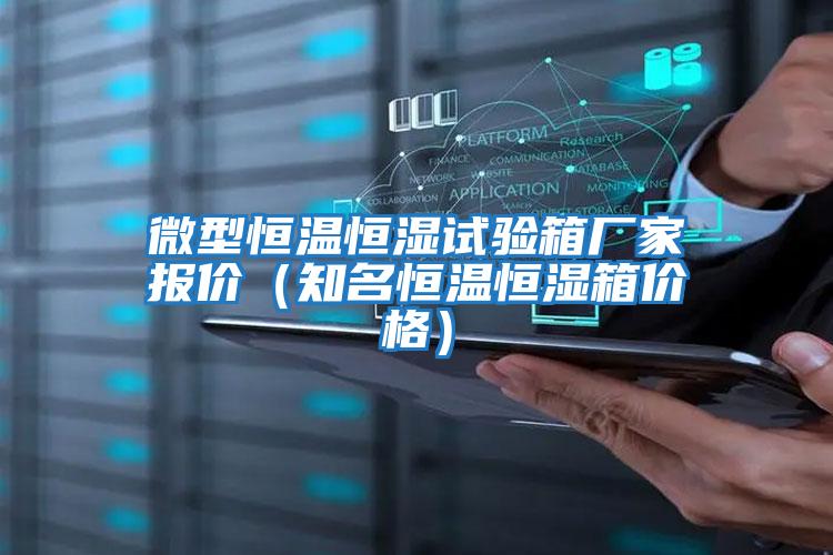 微型恒溫恒濕試驗(yàn)箱廠家報價（知名恒溫恒濕箱價格）