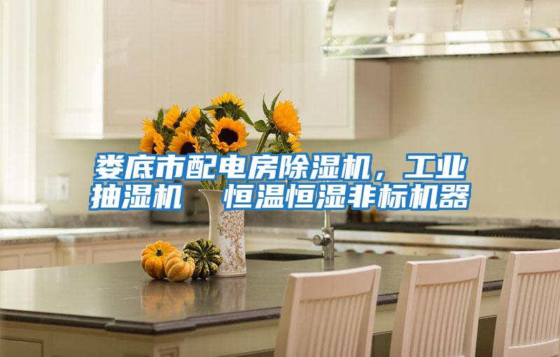 婁底市配電房除濕機，工業抽濕機  恒溫恒濕非標機器