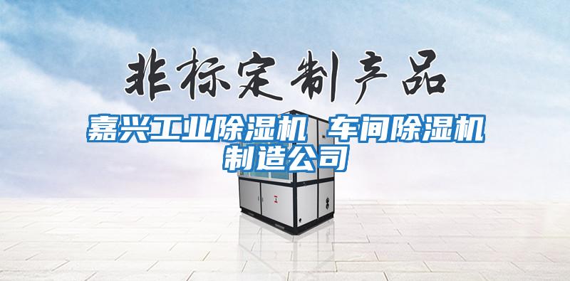 嘉興工業(yè)除濕機(jī) 車(chē)間除濕機(jī)制造公司