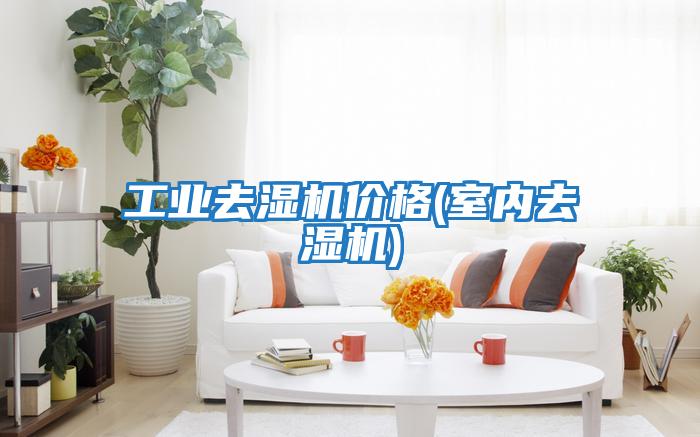 工業(yè)去濕機(jī)價格(室內(nèi)去濕機(jī))