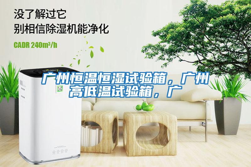 廣州恒溫恒濕試驗(yàn)箱，廣州高低溫試驗(yàn)箱，廣