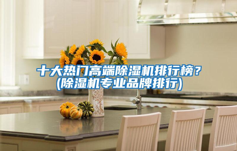 十大熱門高端除濕機排行榜？(除濕機專業品牌排行)