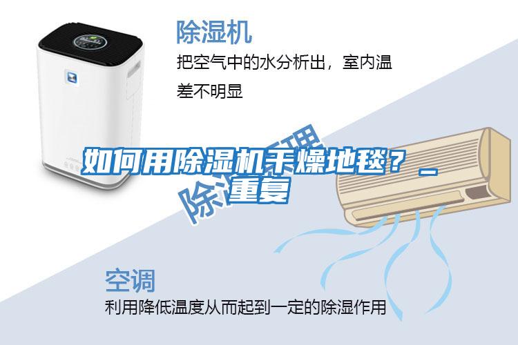 如何用除濕機干燥地毯？_重復(fù)