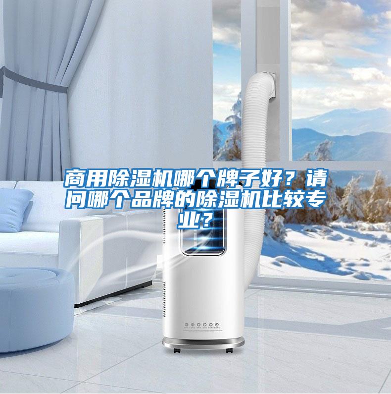 商用除濕機哪個牌子好？請問哪個品牌的除濕機比較專業(yè)？