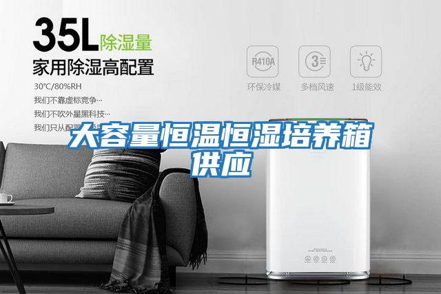 大容量恒溫恒濕培養箱供應