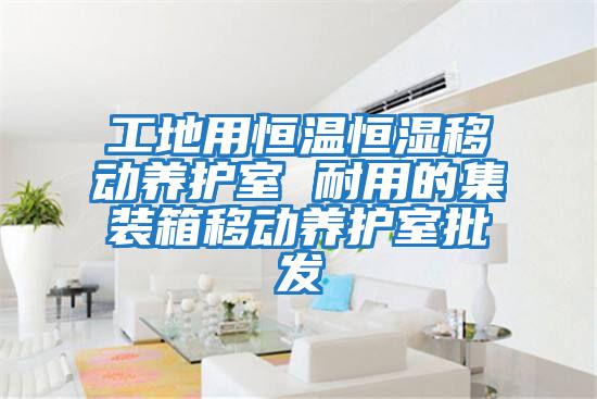 工地用恒溫恒濕移動養(yǎng)護室 耐用的集裝箱移動養(yǎng)護室批發(fā)