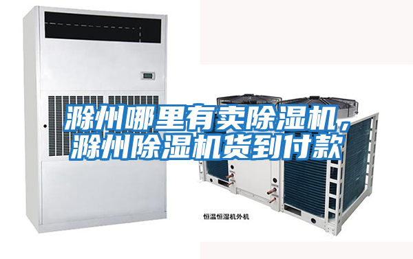 滁州哪里有賣(mài)除濕機(jī)，滁州除濕機(jī)貨到付款