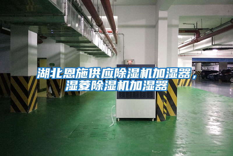 湖北恩施供應除濕機加濕器，濕菱除濕機加濕器