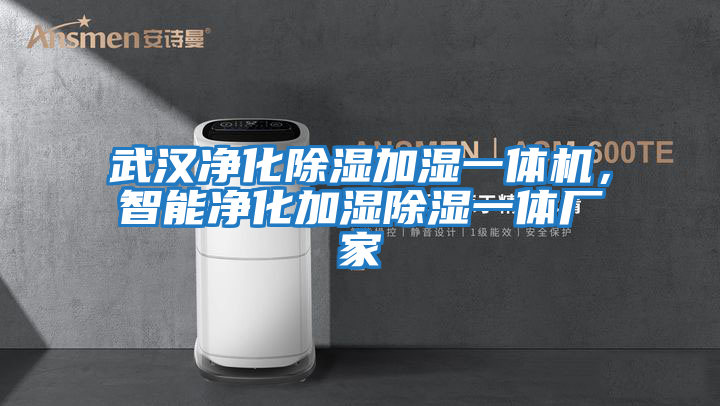 武漢凈化除濕加濕一體機，智能凈化加濕除濕一體廠家