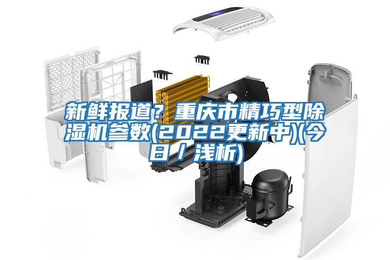 新鮮報道？重慶市精巧型除濕機參數(2022更新中)(今日／淺析)