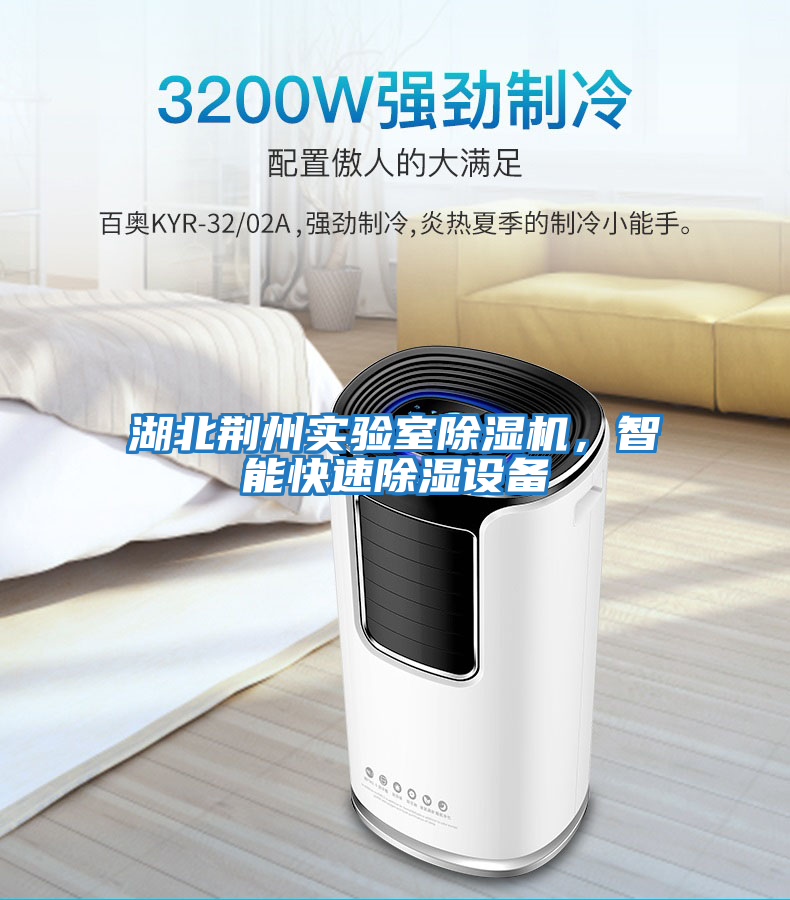湖北荊州實驗室除濕機，智能快速除濕設備