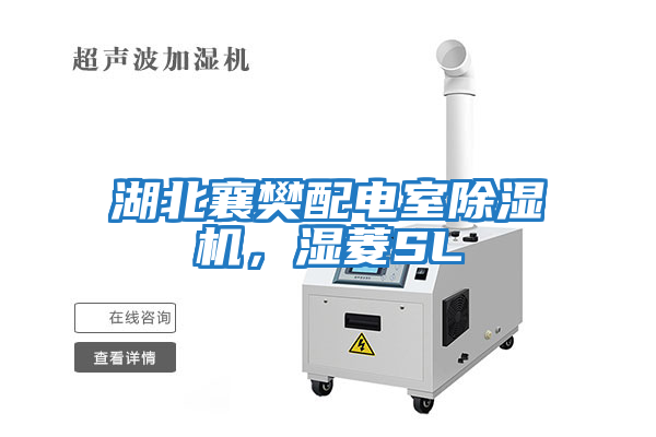 湖北襄樊配電室除濕機，濕菱SL