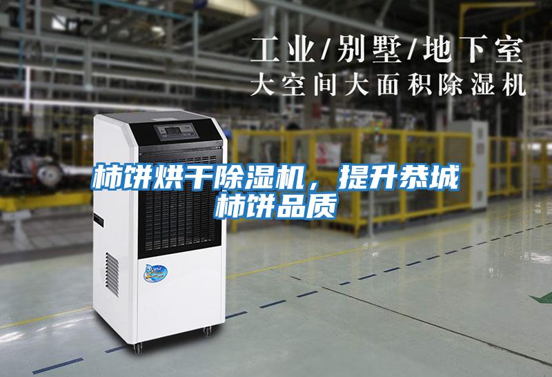 柿餅烘干除濕機，提升恭城柿餅品質