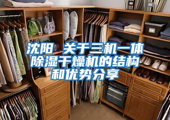 沈陽 關(guān)于三機(jī)一體除濕干燥機(jī)的結(jié)構(gòu)和優(yōu)勢(shì)分享