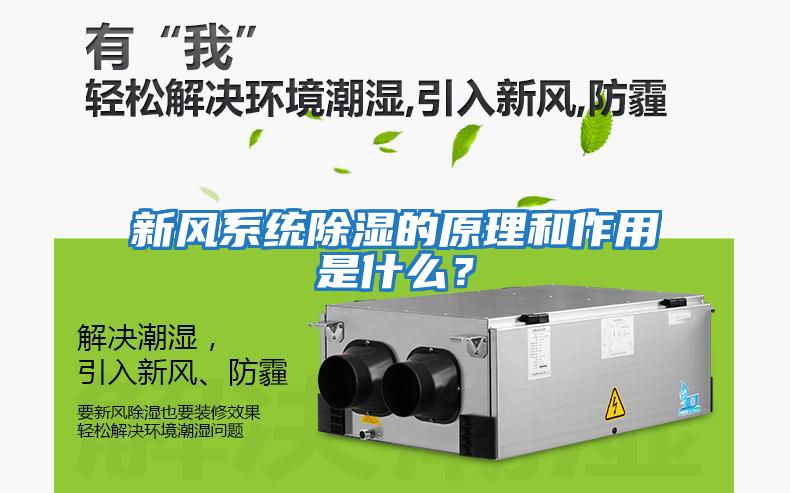 新風系統除濕的原理和作用是什么？