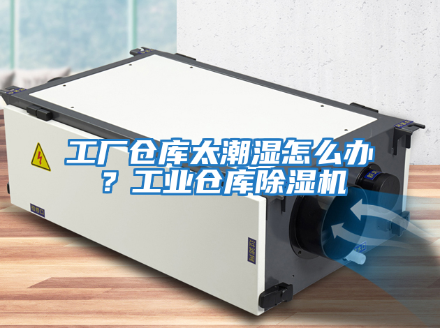 工廠倉(cāng)庫(kù)太潮濕怎么辦？工業(yè)倉(cāng)庫(kù)除濕機(jī)
