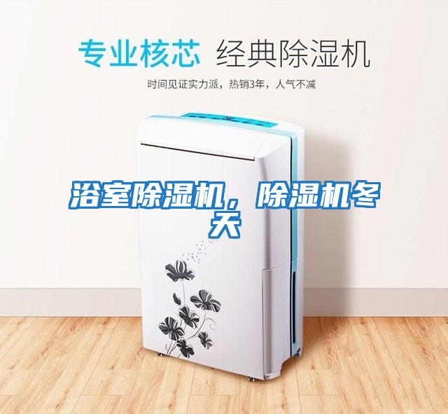 浴室除濕機，除濕機冬天