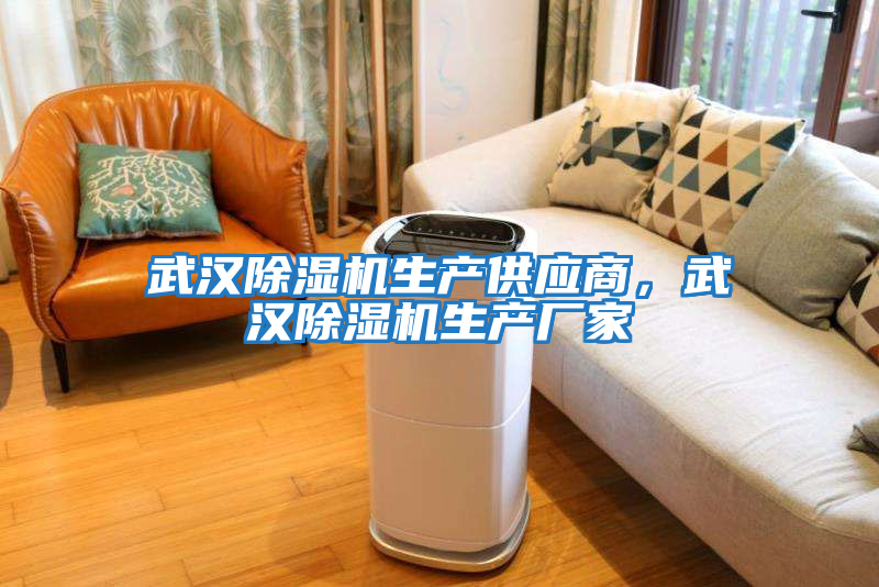 武漢除濕機生產供應商，武漢除濕機生產廠家