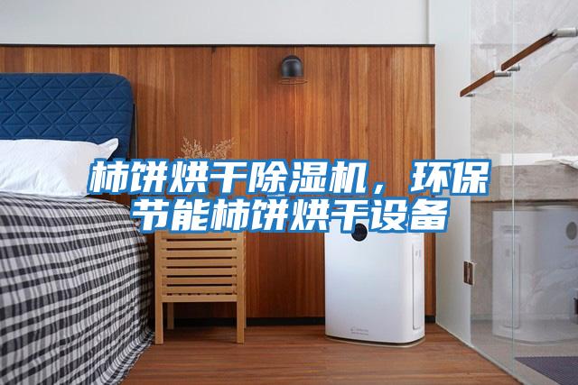 柿餅烘干除濕機(jī)，環(huán)保節(jié)能柿餅烘干設(shè)備