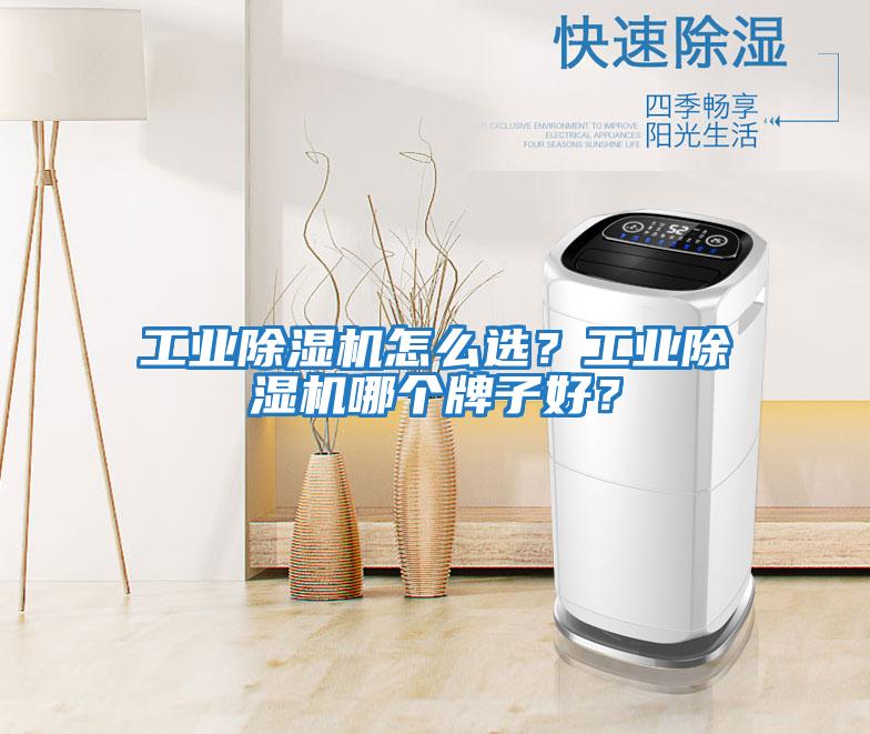 工業(yè)除濕機怎么選?工業(yè)除濕機哪個牌子好?