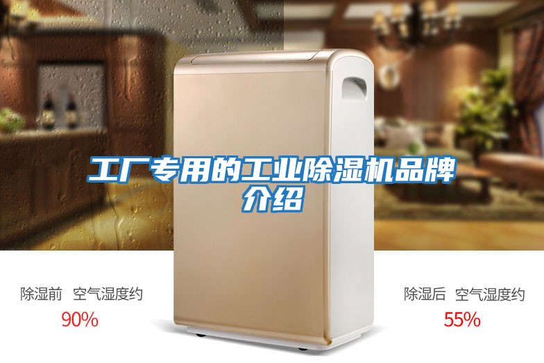 工廠(chǎng)專(zhuān)用的工業(yè)除濕機(jī)品牌介紹
