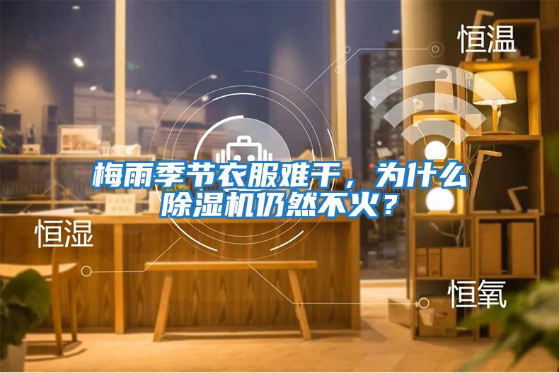 梅雨季節(jié)衣服難干，為什么除濕機(jī)仍然不火？