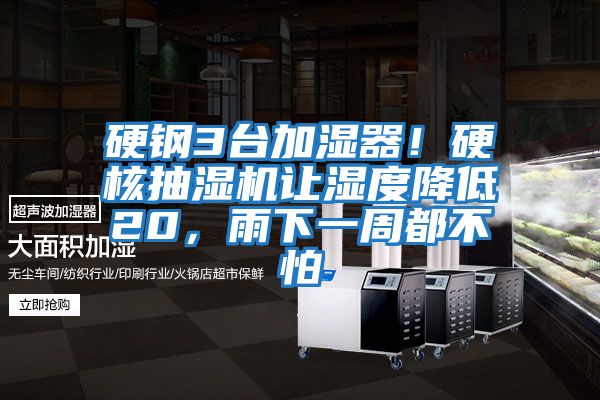 硬鋼3臺加濕器！硬核抽濕機讓濕度降低20，雨下一周都不怕