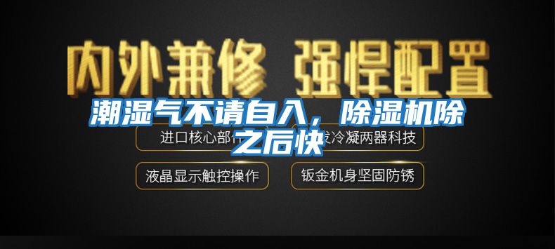 潮濕氣不請自入，除濕機除之后快