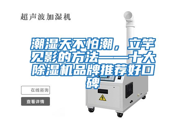 潮濕天不怕潮，立竿見影的方法——十大除濕機品牌推薦好口碑