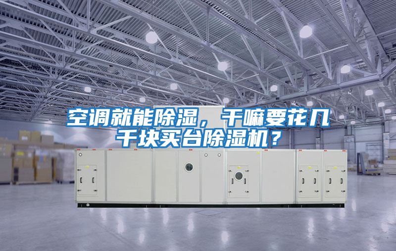 空調(diào)就能除濕，干嘛要花幾千塊買臺(tái)除濕機(jī)？