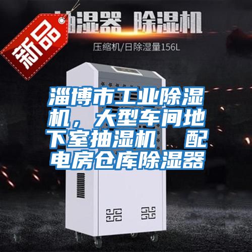 淄博市工業(yè)除濕機(jī)，大型車間地下室抽濕機(jī)  配電房倉庫除濕器