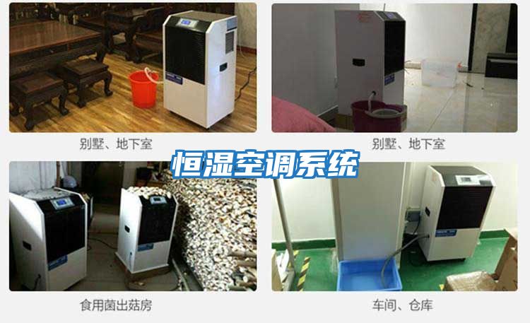 恒濕空調系統(tǒng)