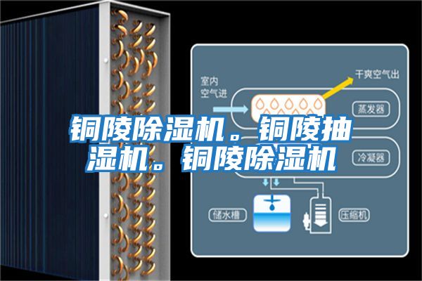 銅陵除濕機。銅陵抽濕機。銅陵除濕機