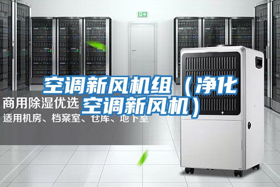 空調(diào)新風機組（凈化空調(diào)新風機）