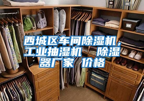 西城區(qū)車(chē)間除濕機(jī)，工業(yè)抽濕機(jī)  除濕器廠家 價(jià)格