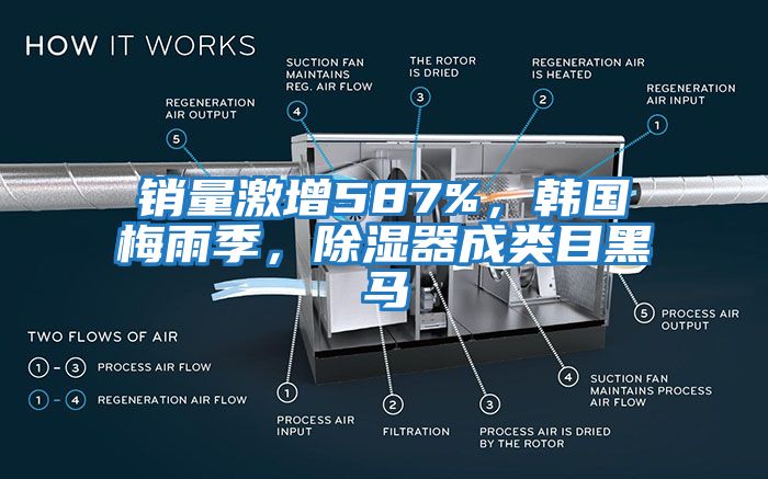銷量激增587%，韓國梅雨季，除濕器成類目黑馬