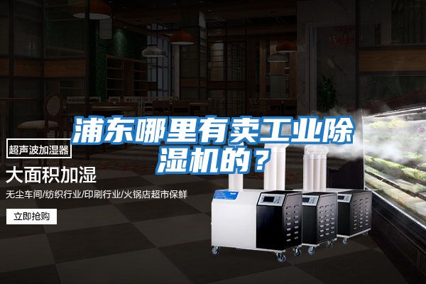 浦東哪里有賣工業(yè)除濕機(jī)的？