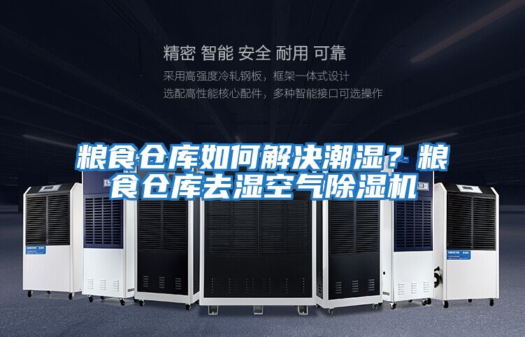 糧食倉庫如何解決潮濕?糧食倉庫去濕空氣除濕機