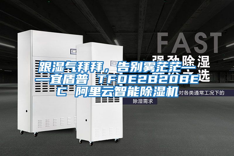 跟濕氣拜拜，告別霧茫?！硕芷?TFDE2B20BEC 阿里云智能除濕機