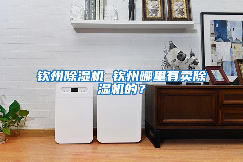欽州除濕機 欽州哪里有賣除濕機的？