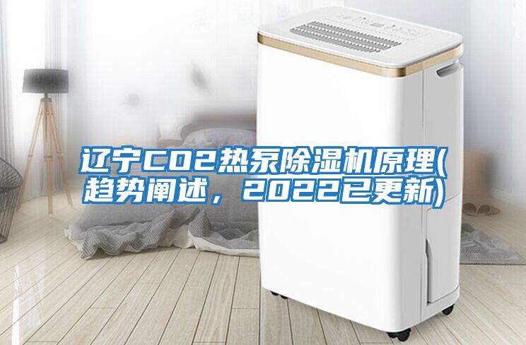 遼寧CO2熱泵除濕機(jī)原理(趨勢闡述，2022已更新)