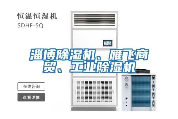 淄博除濕機、雁飛商貿、工業(yè)除濕機