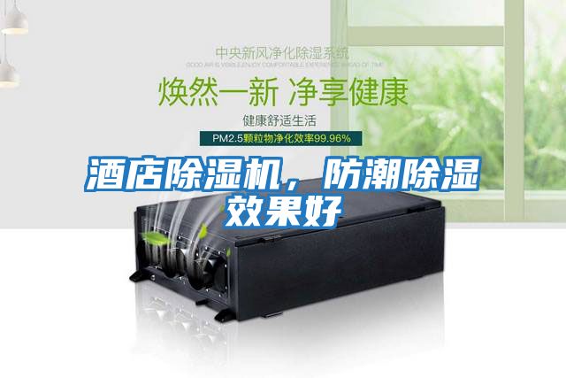 酒店除濕機，防潮除濕效果好