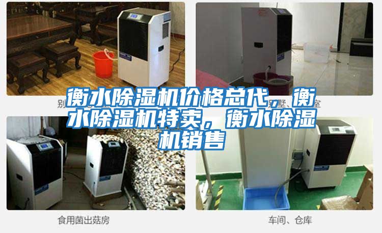 衡水除濕機價格總代,衡水除濕機特賣,衡水除濕機銷售
