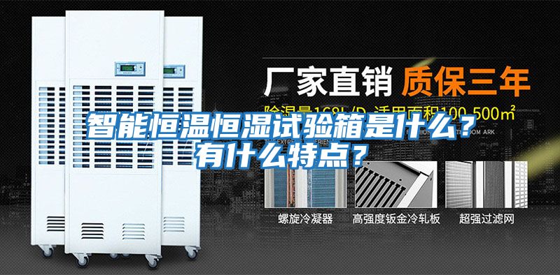 智能恒溫恒濕試驗(yàn)箱是什么？有什么特點(diǎn)？