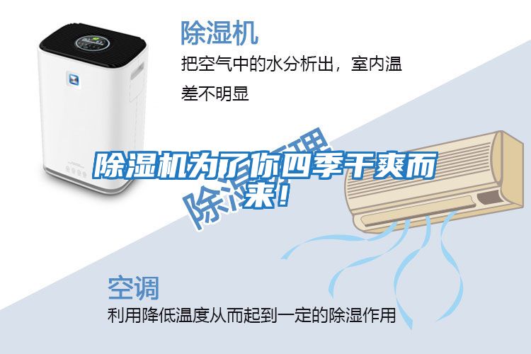 除濕機為了你四季干爽而來！